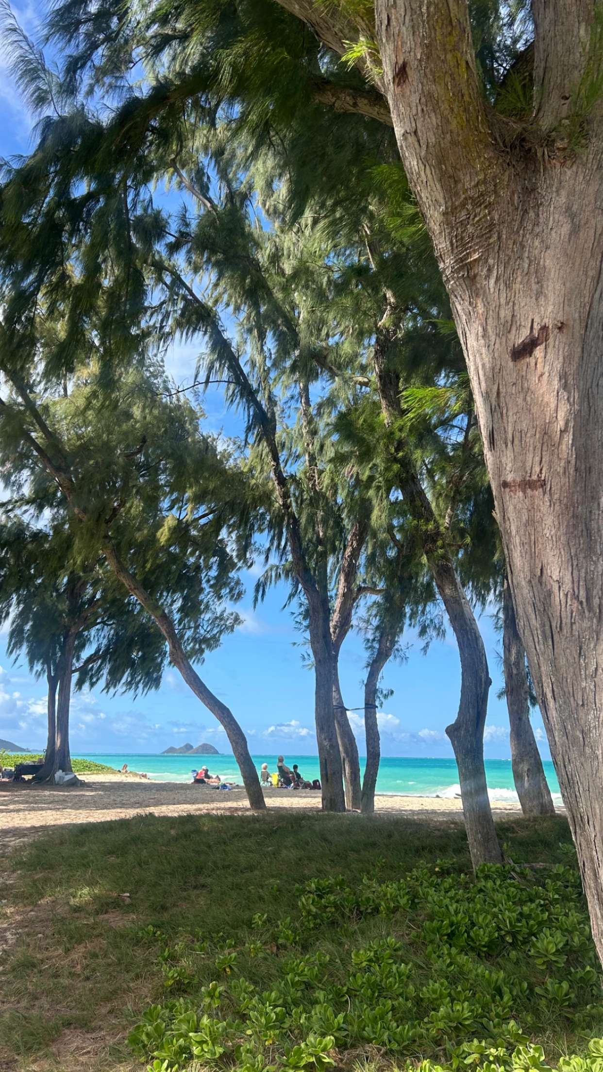 soph4ocean snapchat image archive image