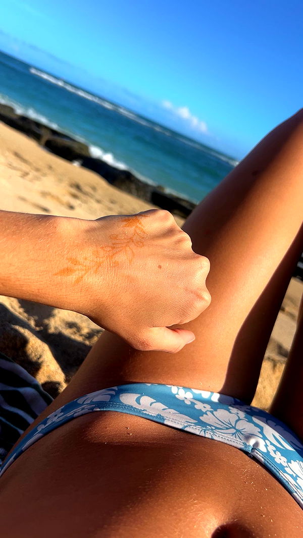 soph4ocean image ~ Altpins