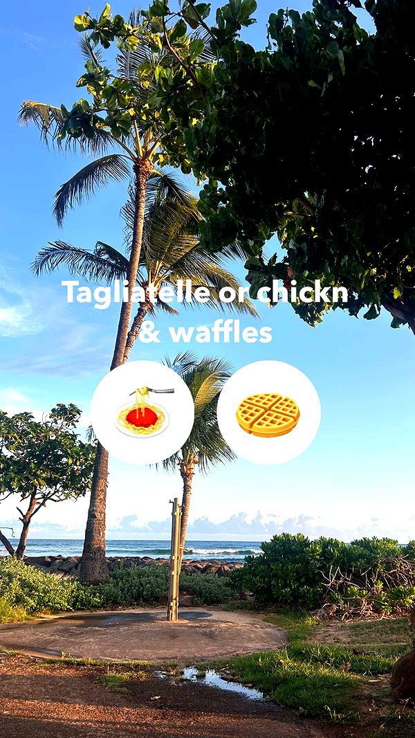 soph4ocean image ~ Altpins