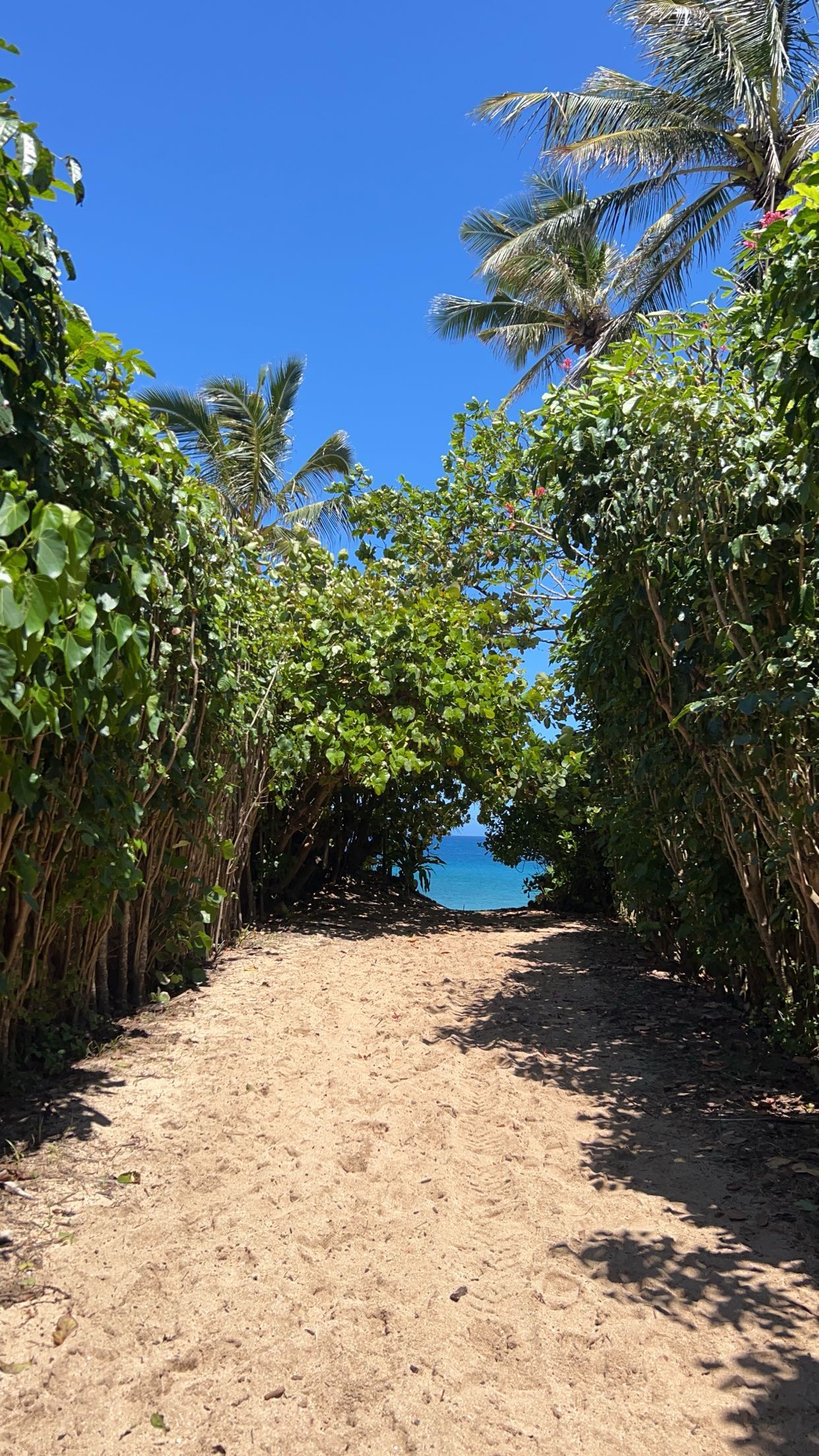 soph4ocean snapchat image archive image