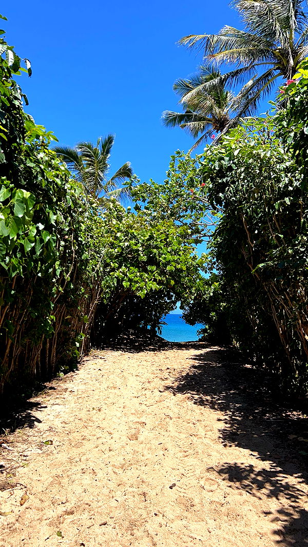 soph4ocean image ~ Altpins