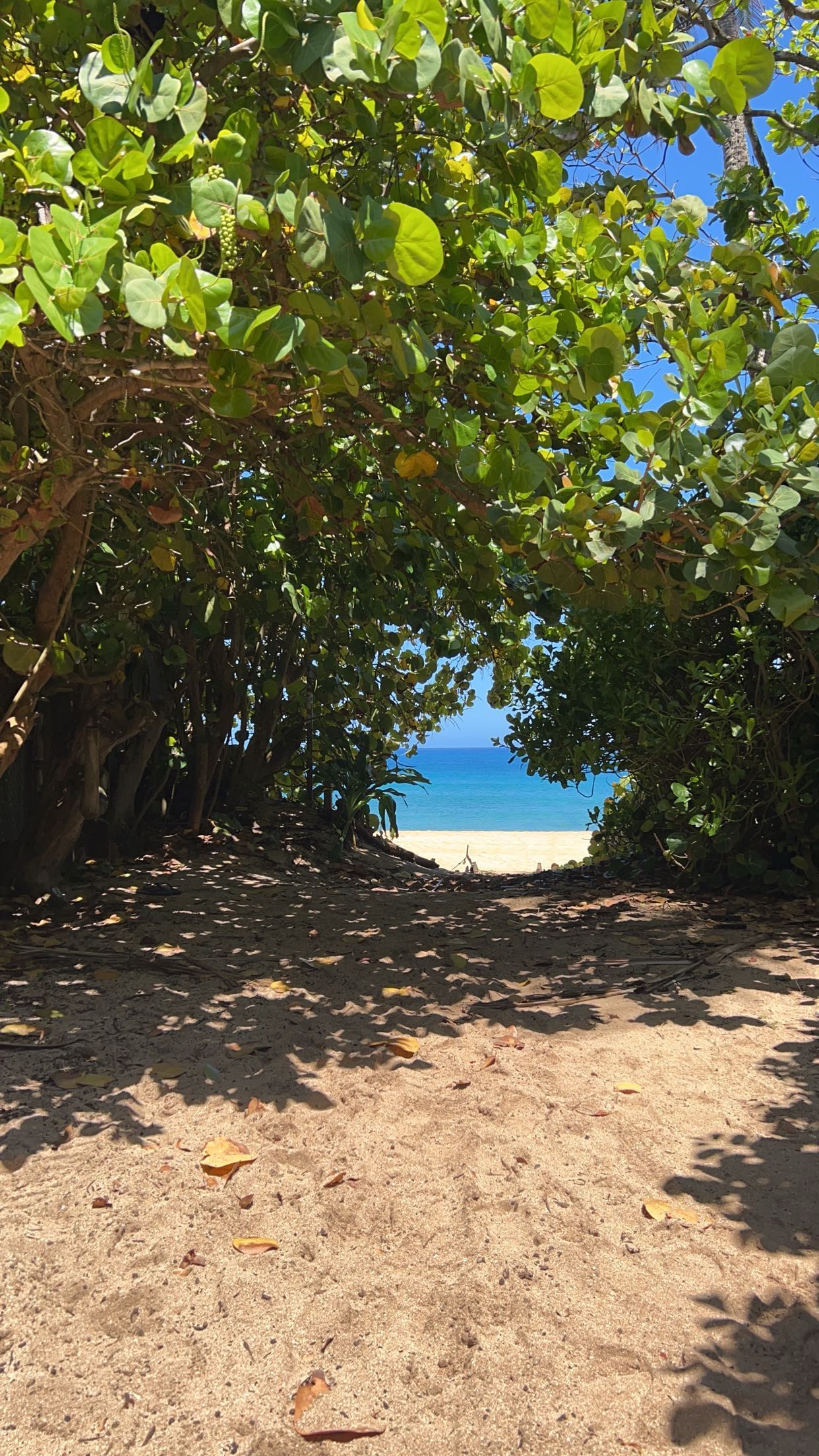 soph4ocean snapchat image archive image