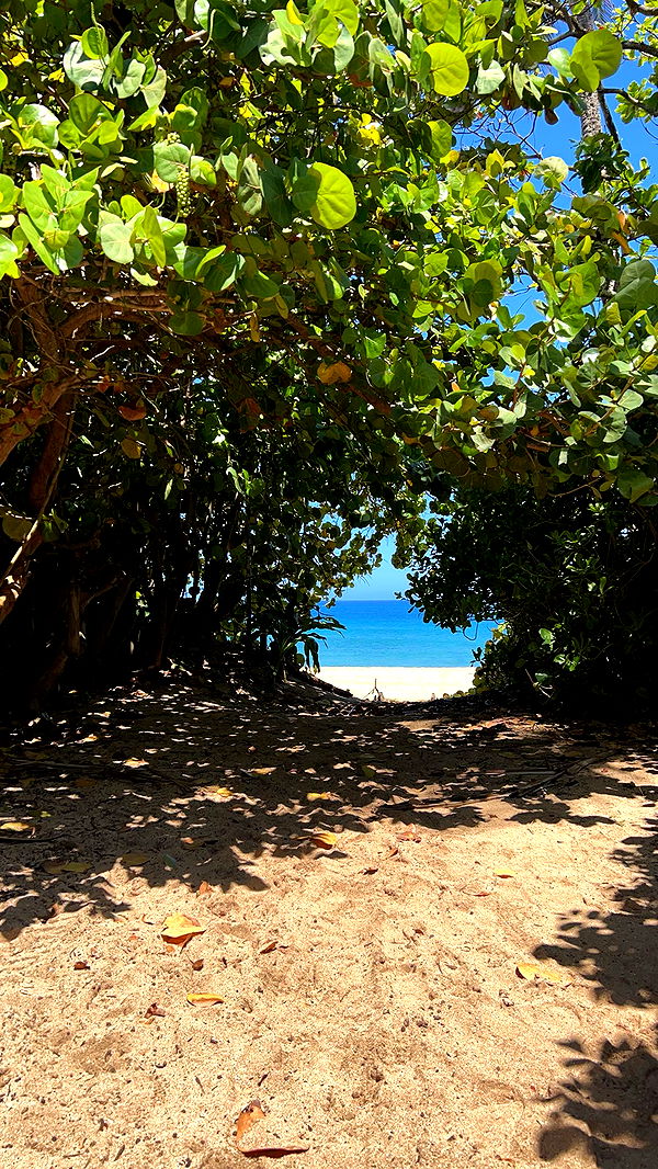 soph4ocean image ~ Altpins