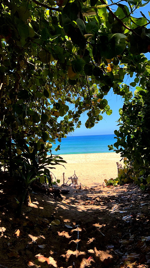 soph4ocean image ~ Altpins