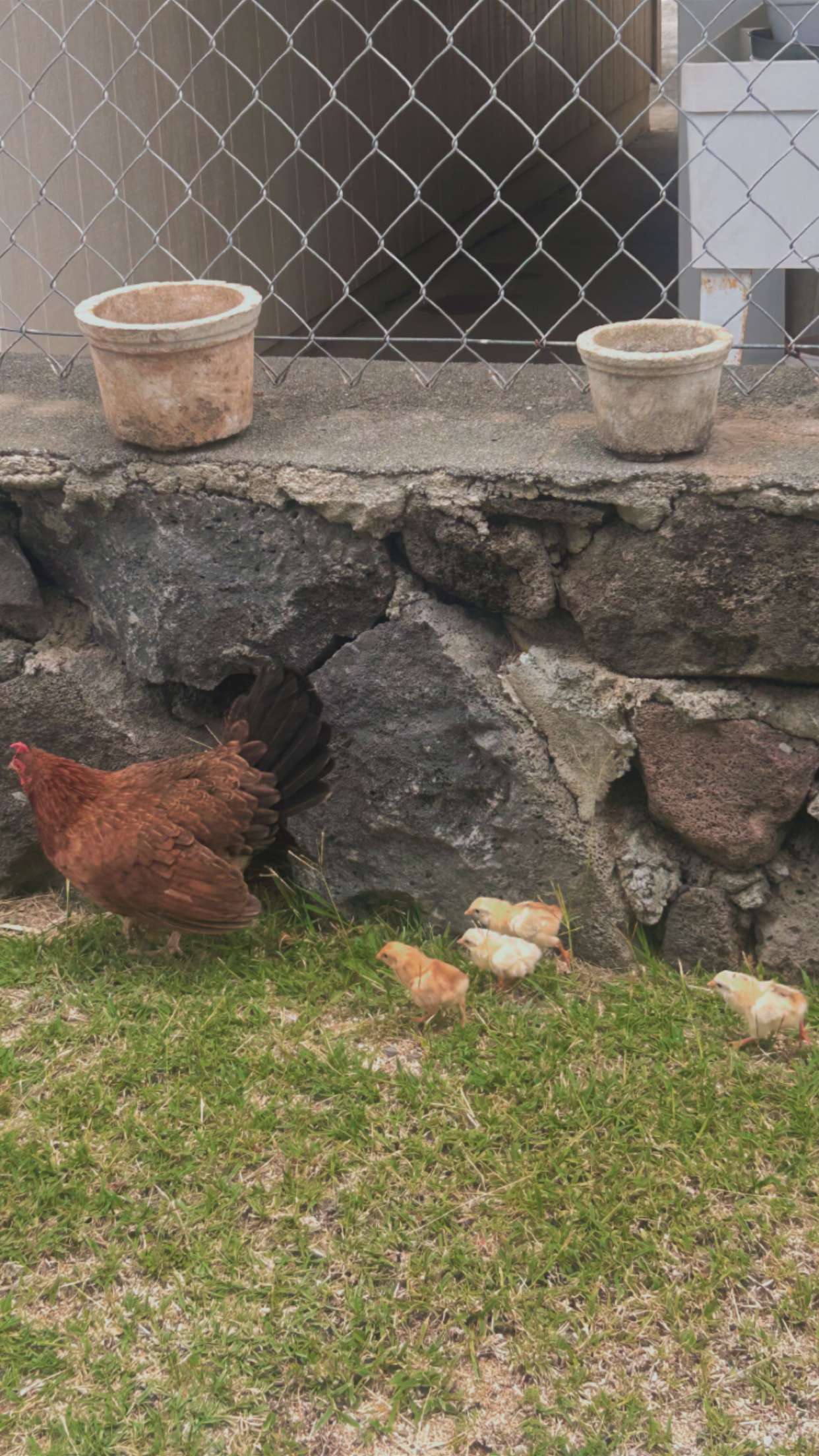 soph4ocean snapchat image archive image