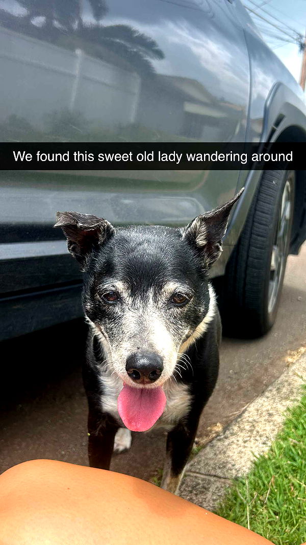 soph4ocean image ~ Altpins