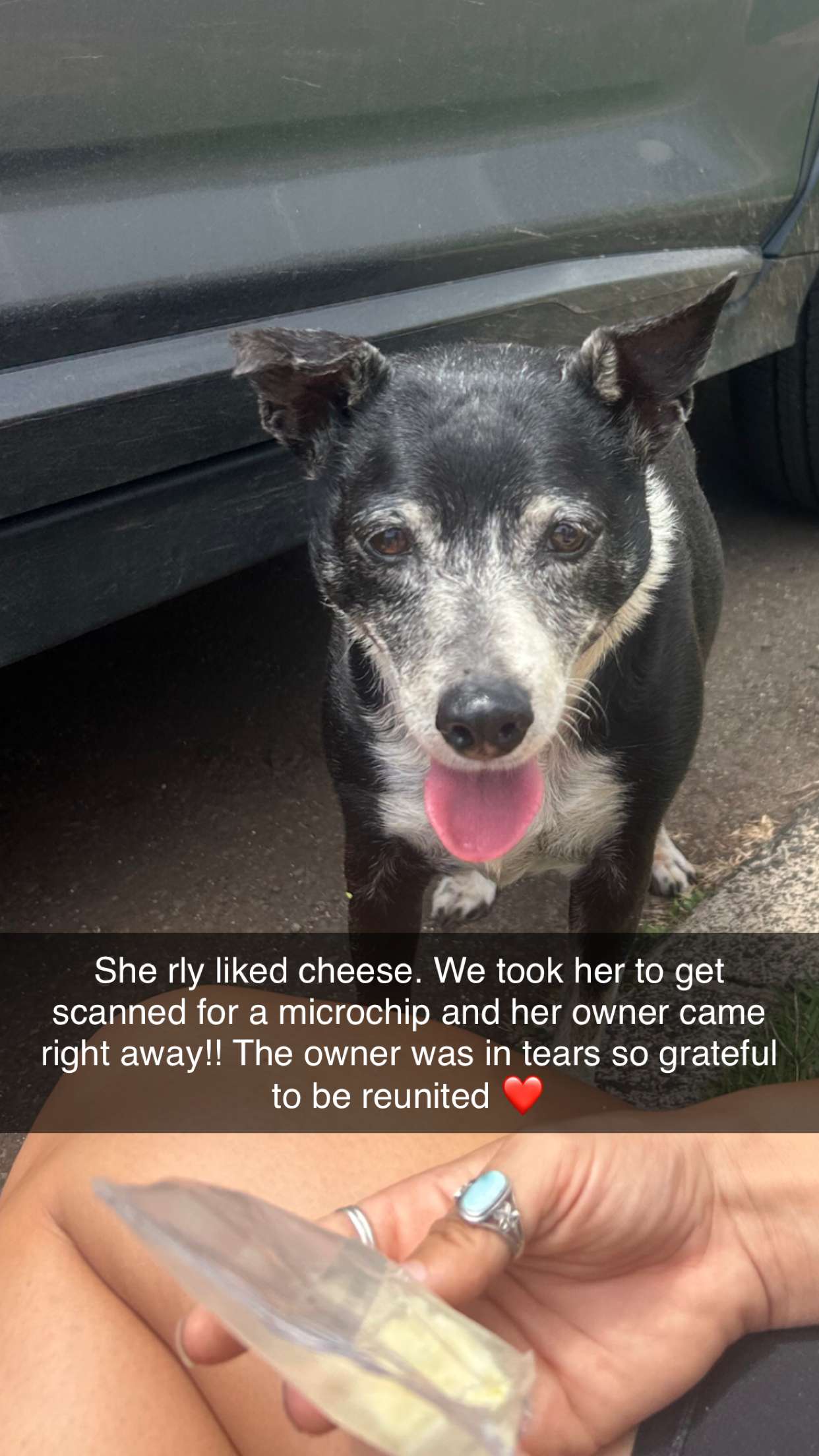 soph4ocean snapchat image archive image