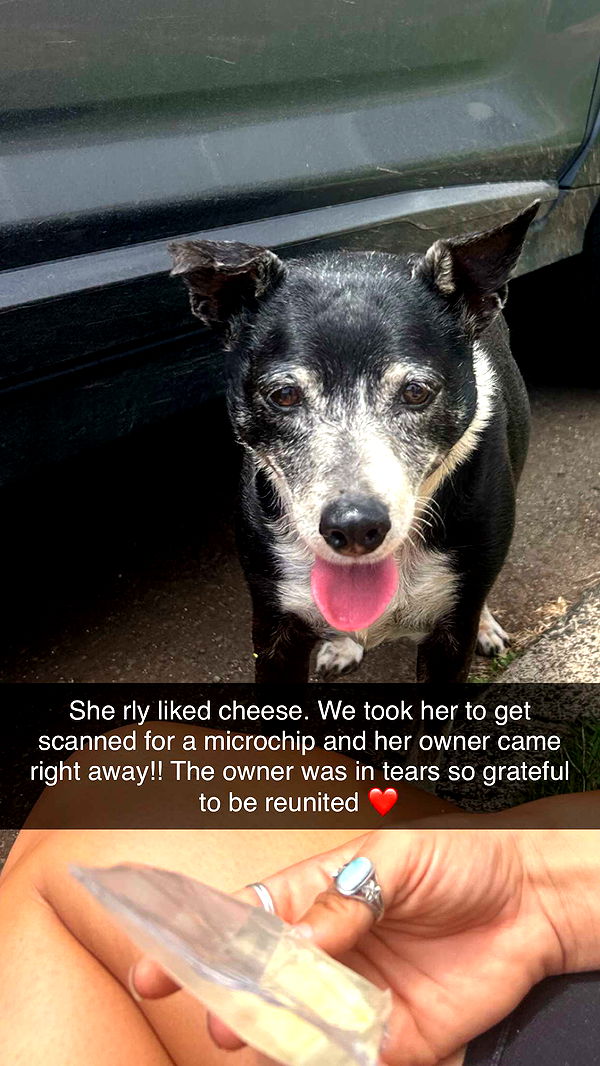 soph4ocean image ~ Altpins