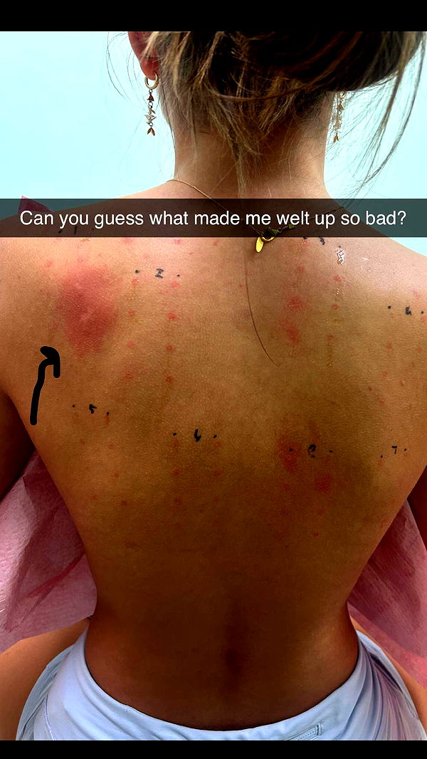 soph4ocean image ~ Altpins