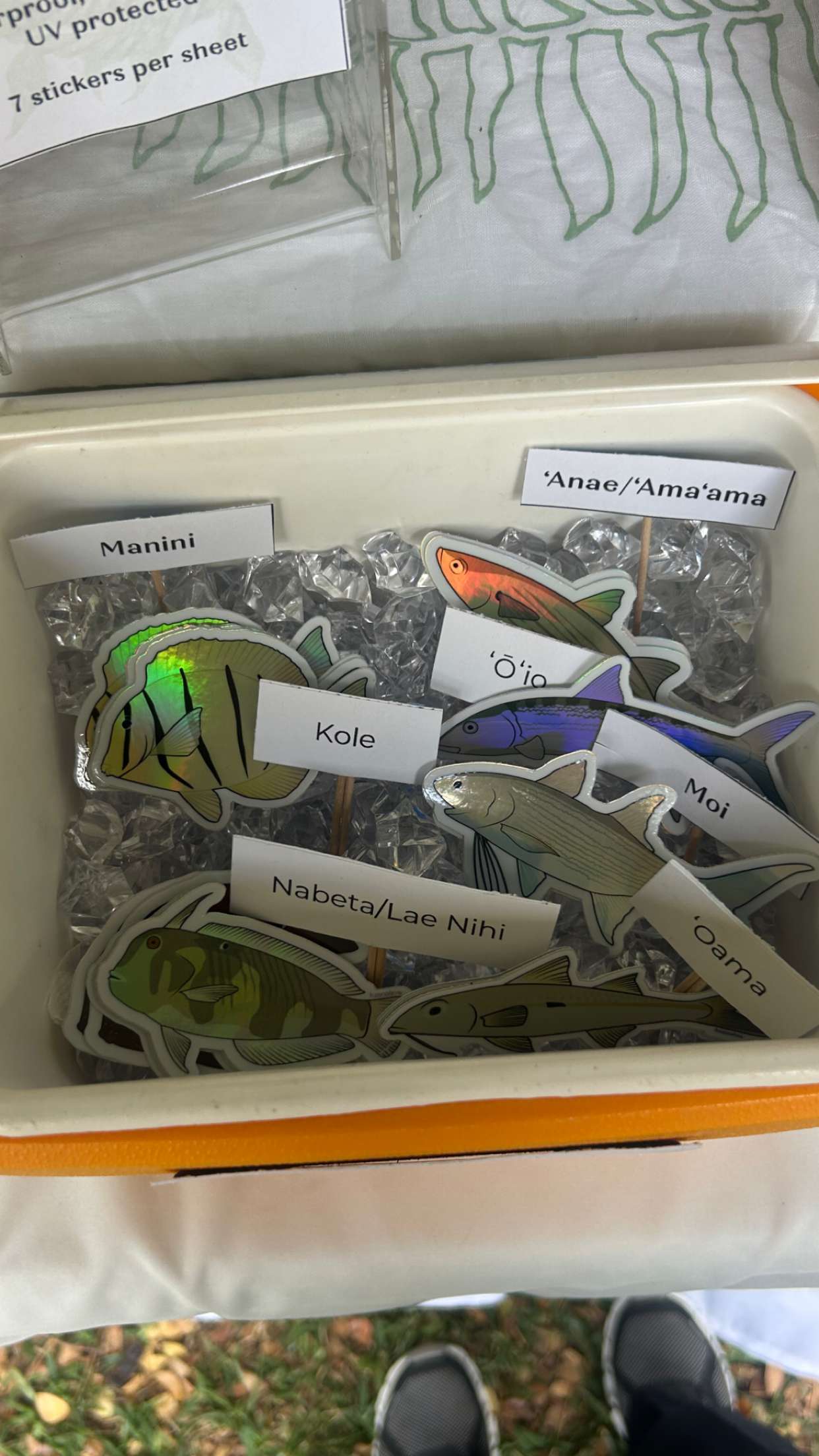 soph4ocean snapchat image archive image