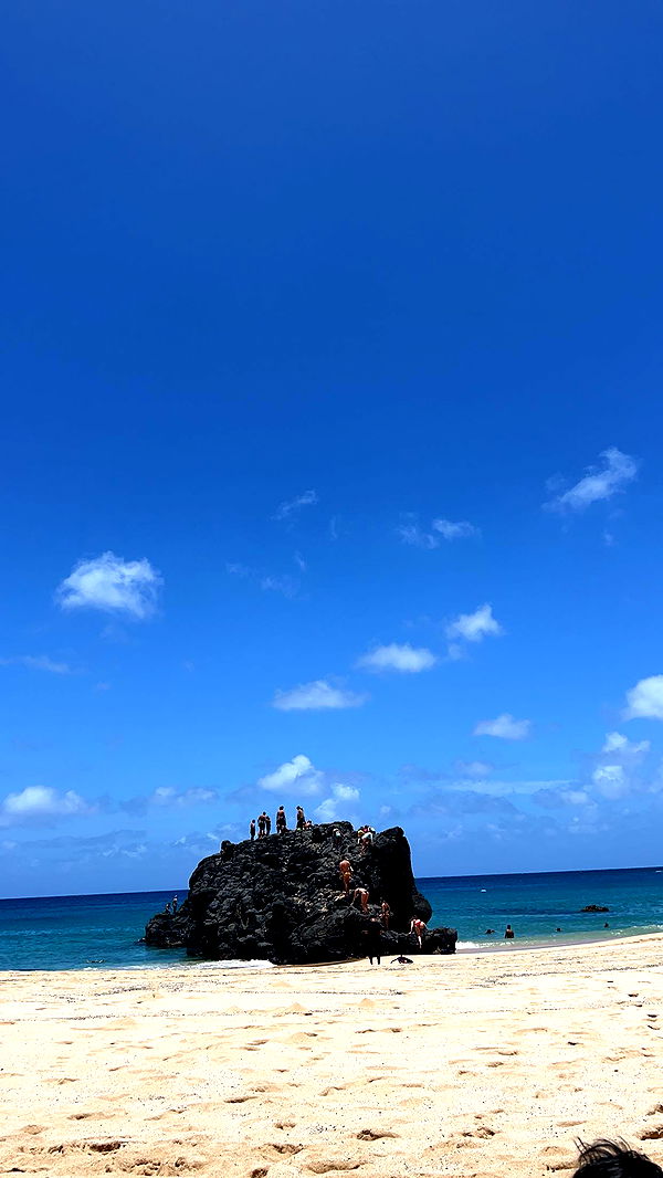 soph4ocean image ~ Altpins