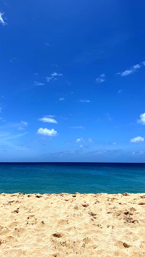 soph4ocean image ~ Altpins