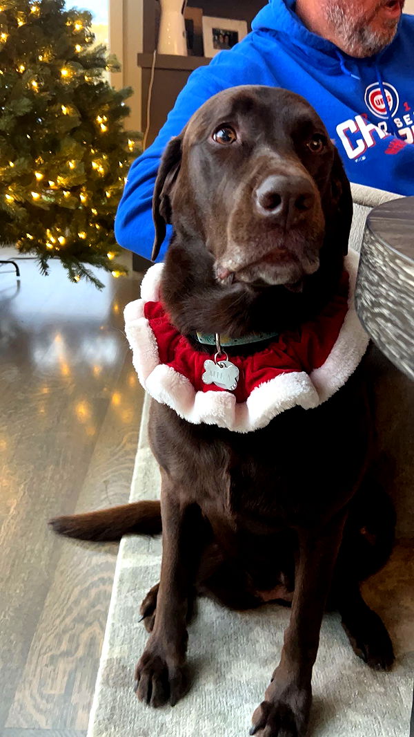 soph4ocean image ~ Altpins