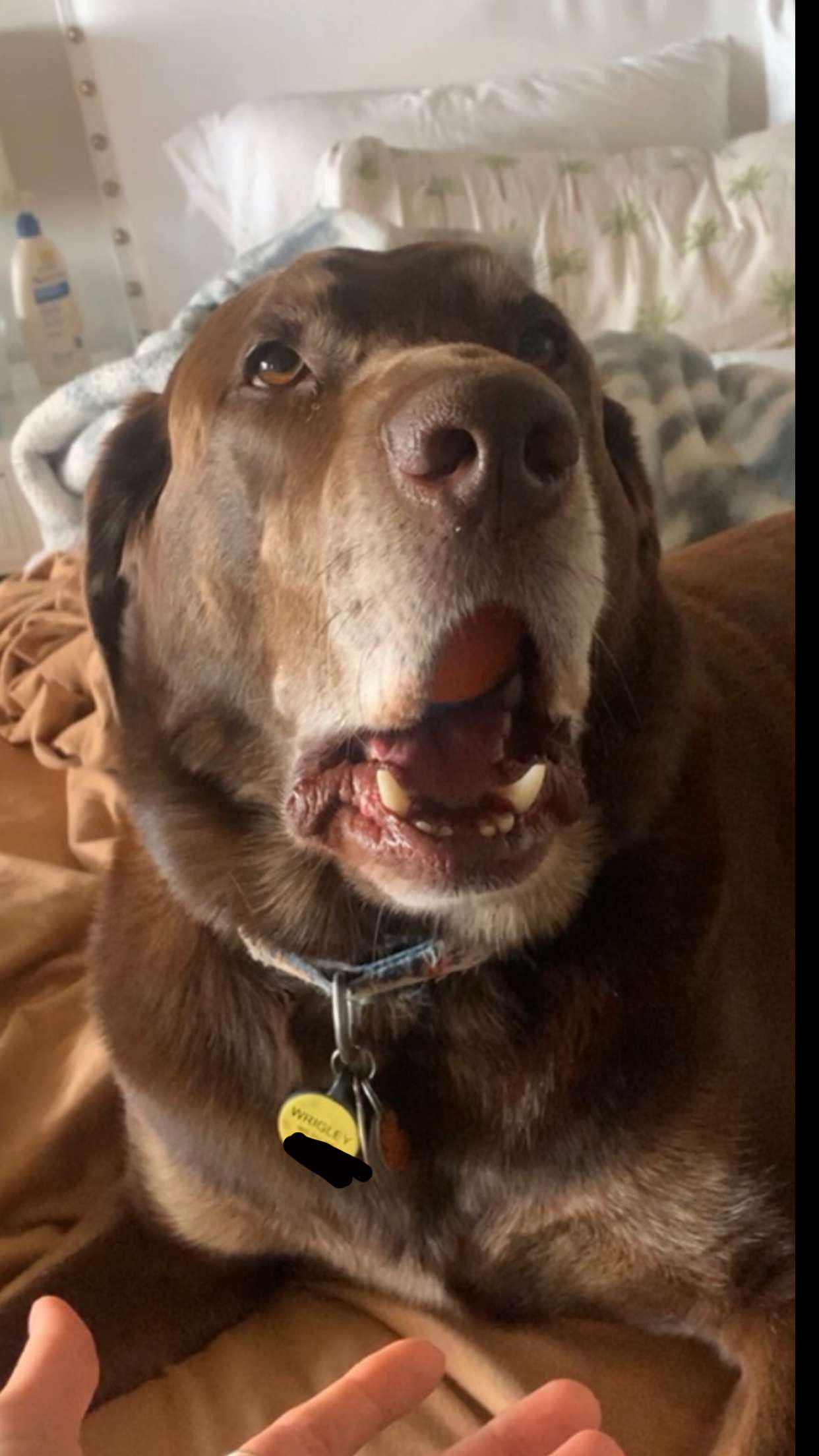 soph4ocean snapchat image archive image