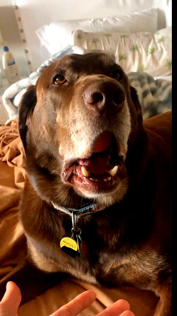 soph4ocean image ~ Altpins