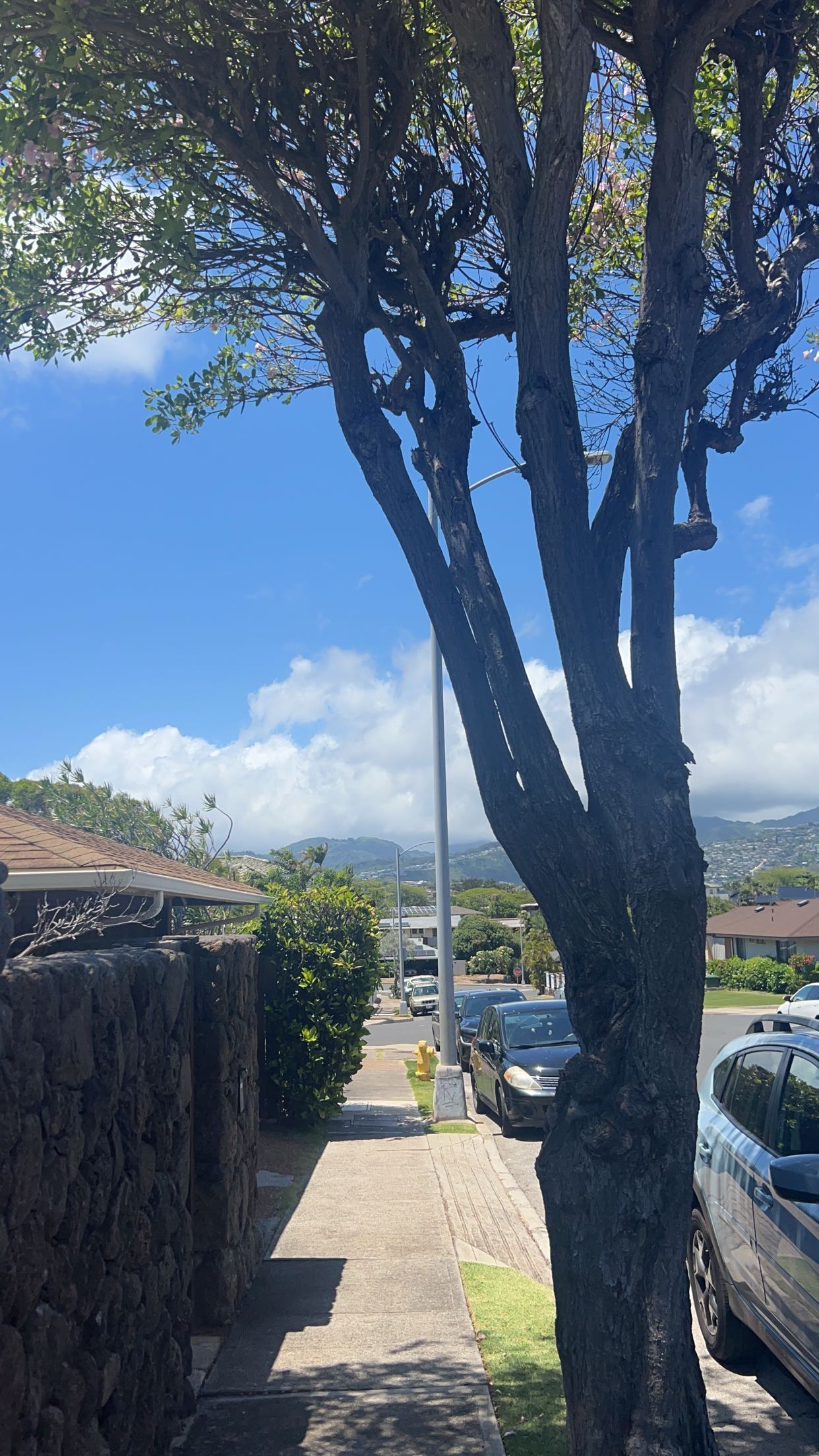 soph4ocean snapchat image archive image