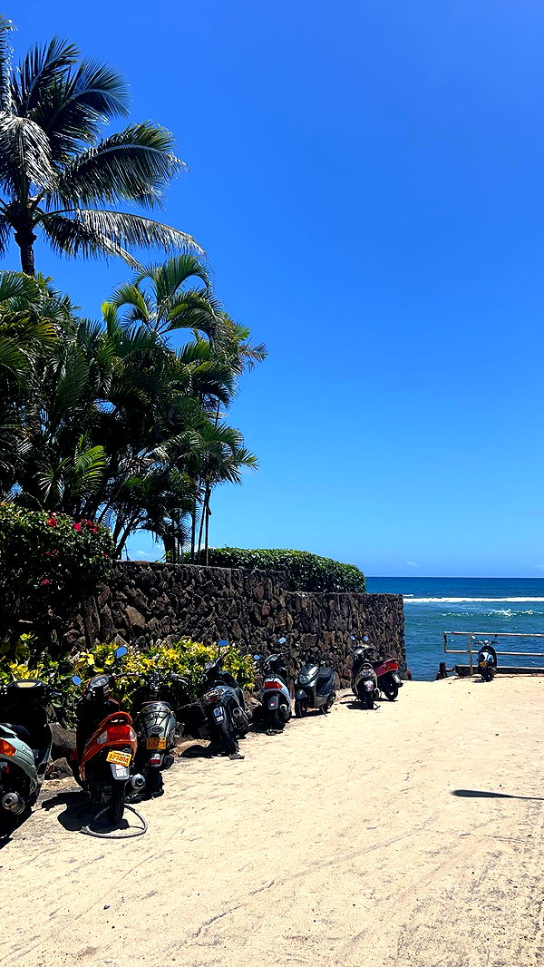 soph4ocean image ~ Altpins