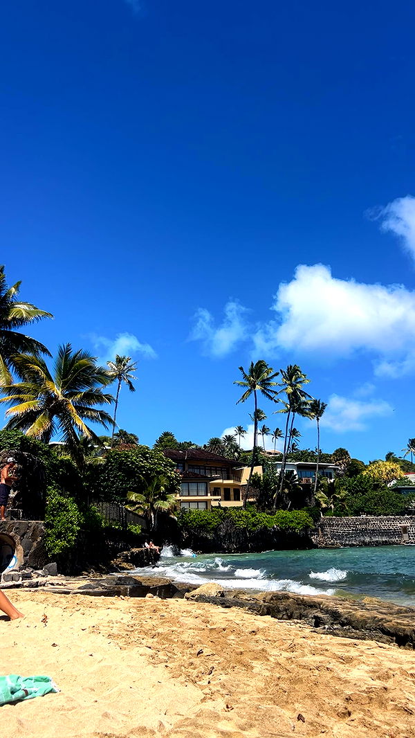 soph4ocean image ~ Altpins