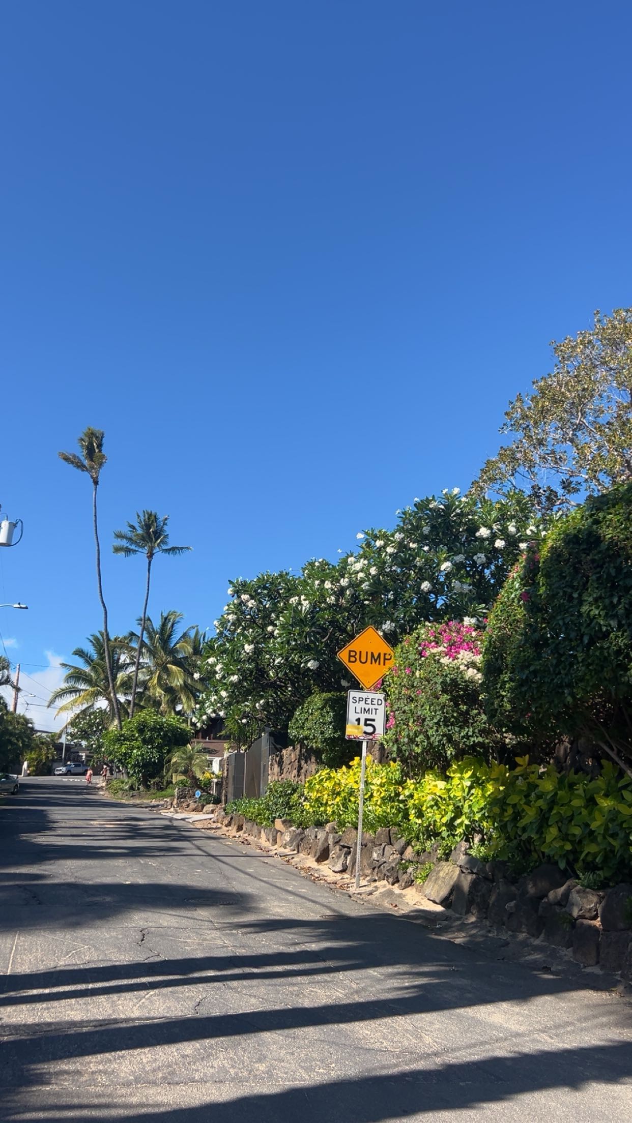 soph4ocean snapchat image archive image