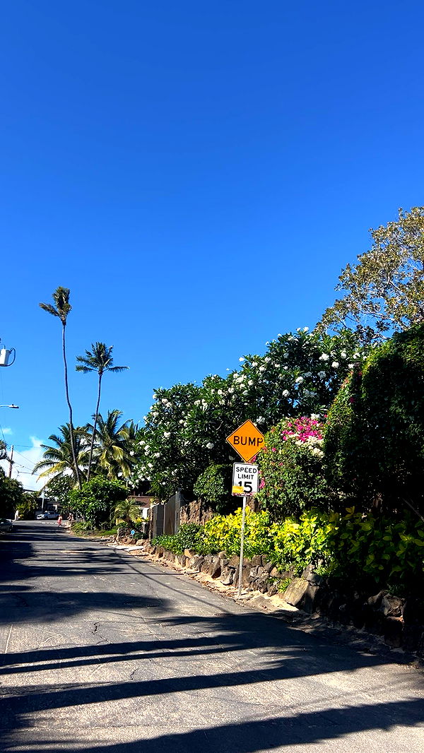 soph4ocean image ~ Altpins