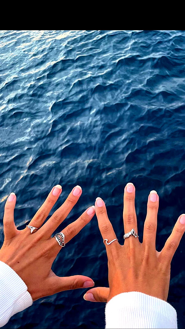 soph4ocean image ~ Altpins