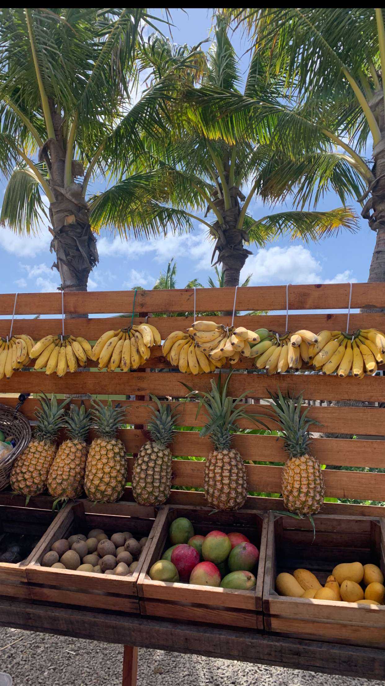 soph4ocean snapchat image archive image