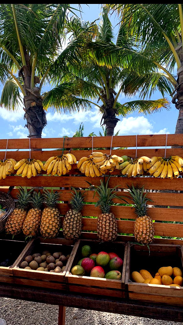 soph4ocean image ~ Altpins