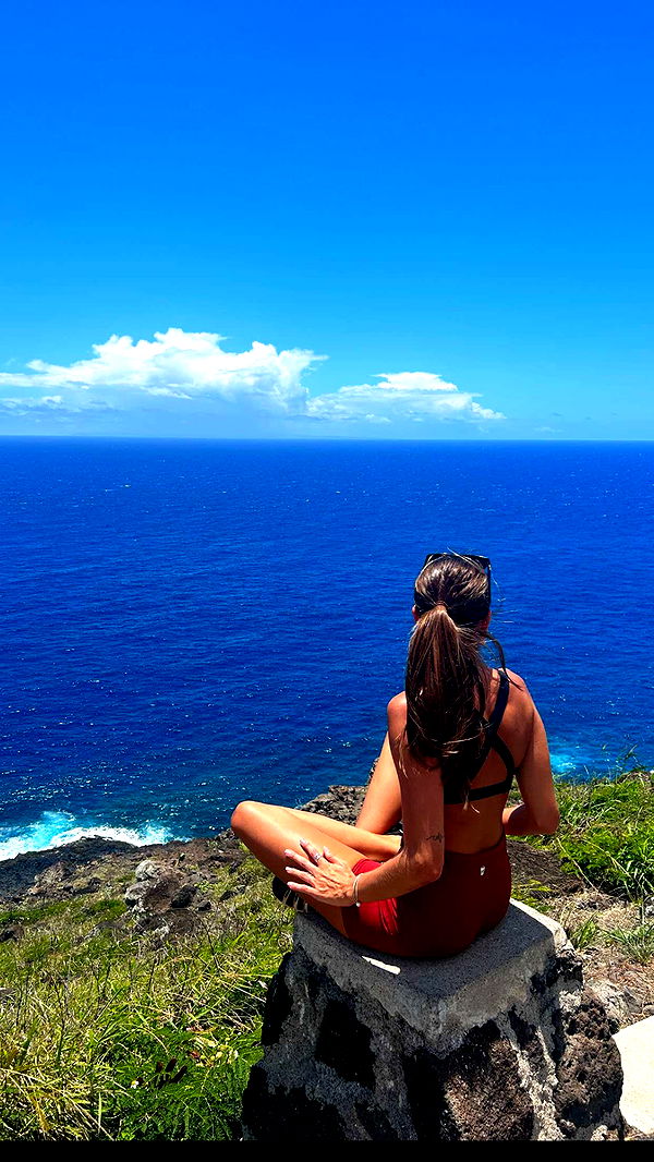 soph4ocean image ~ Altpins