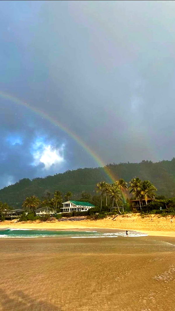 soph4ocean image ~ Altpins