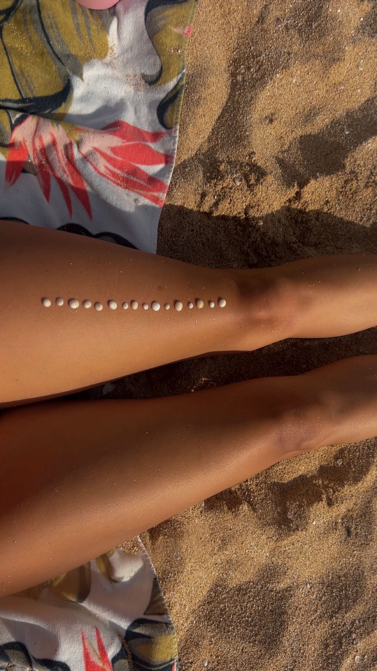 soph4ocean snapchat image archive image