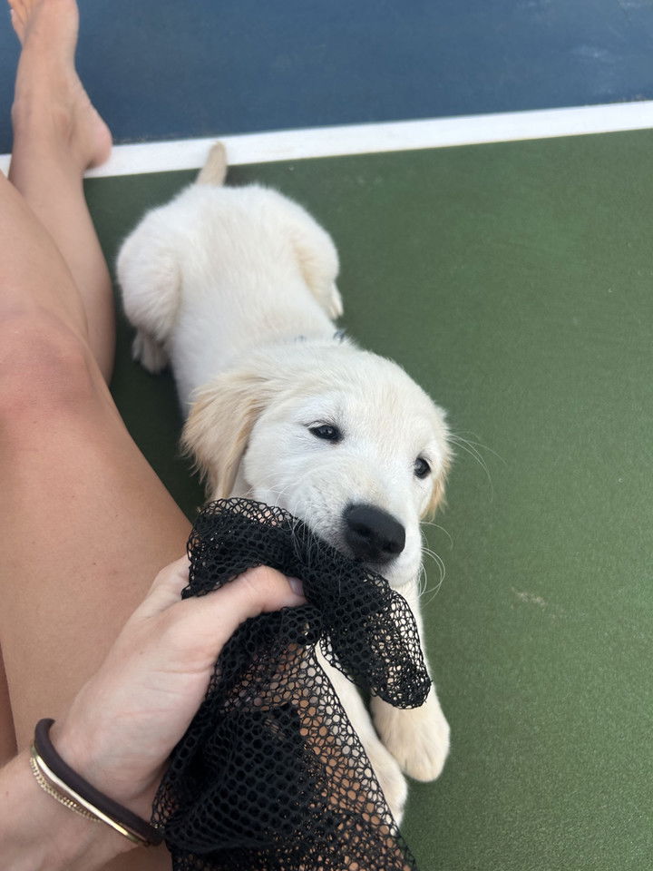 soph4ocean snapchat image archive image