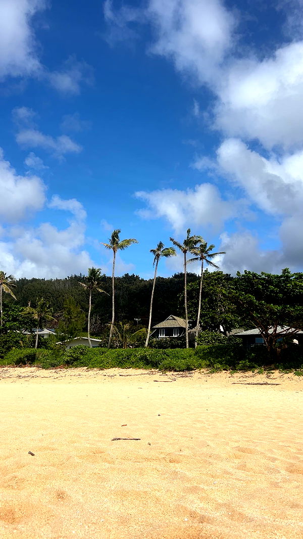 soph4ocean image ~ Altpins