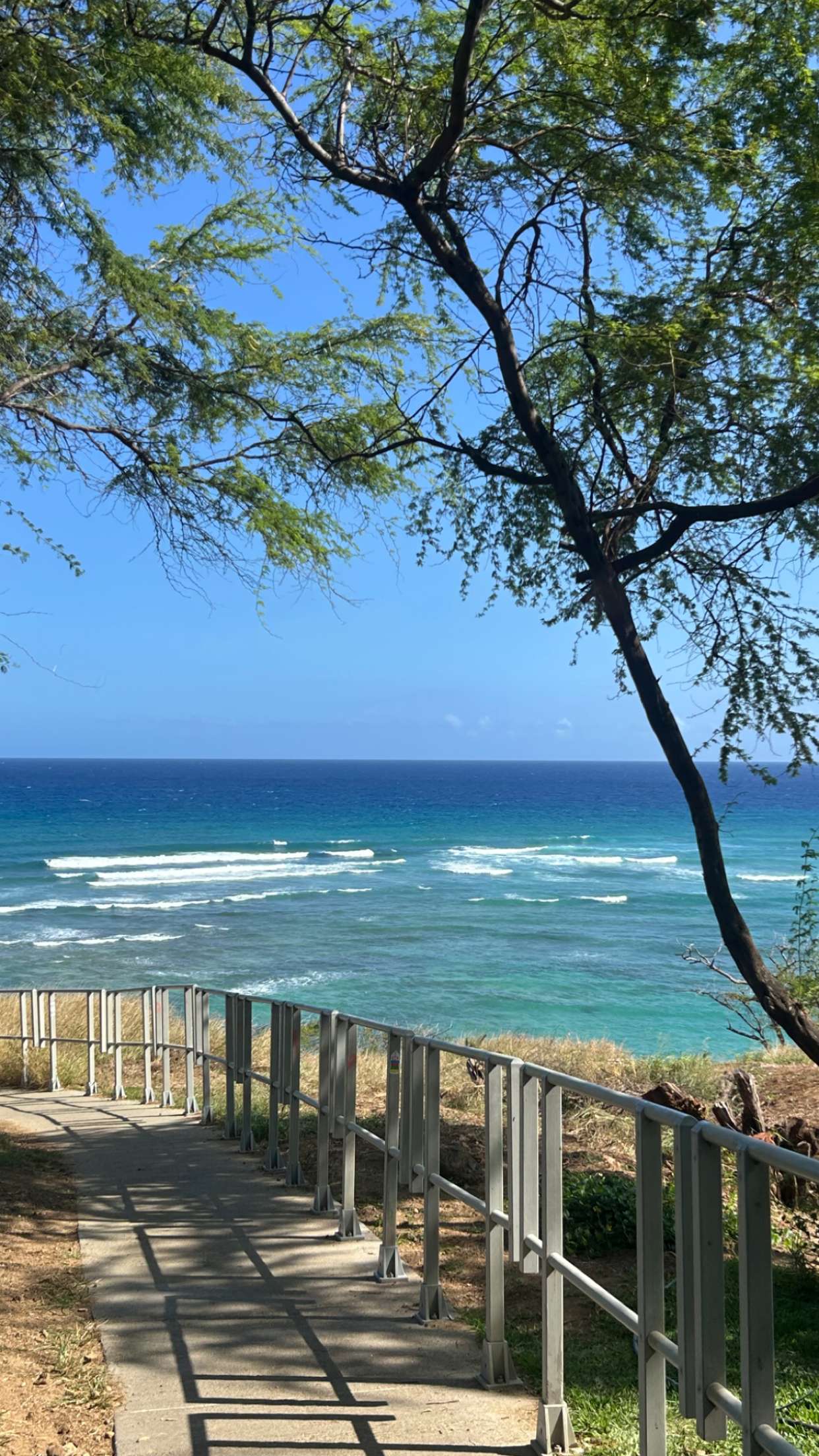 soph4ocean snapchat image archive image