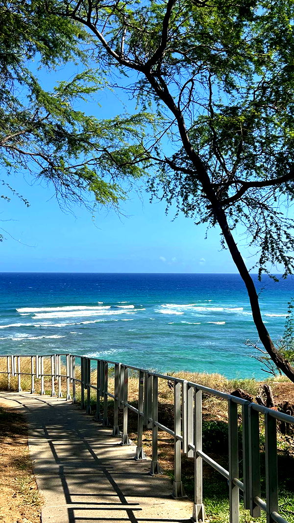 soph4ocean image ~ Altpins