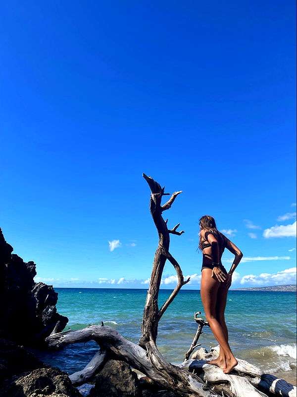 soph4ocean image ~ Altpins