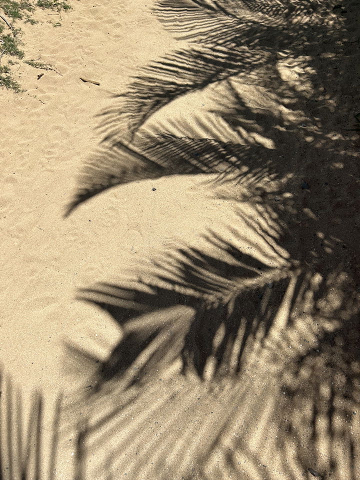 soph4ocean snapchat image archive image