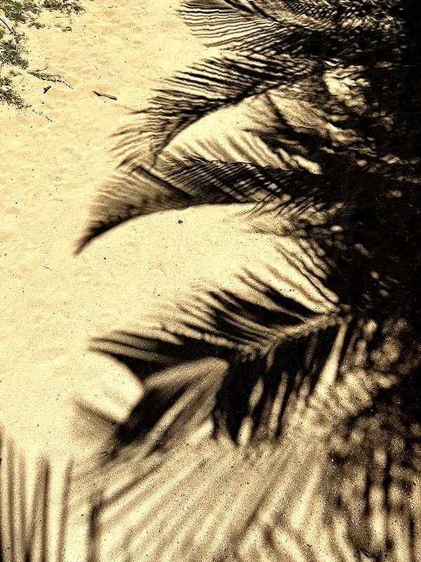 soph4ocean image ~ Altpins