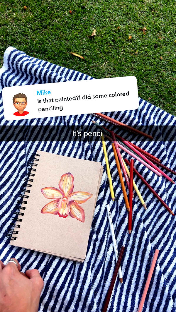 soph4ocean image ~ Altpins