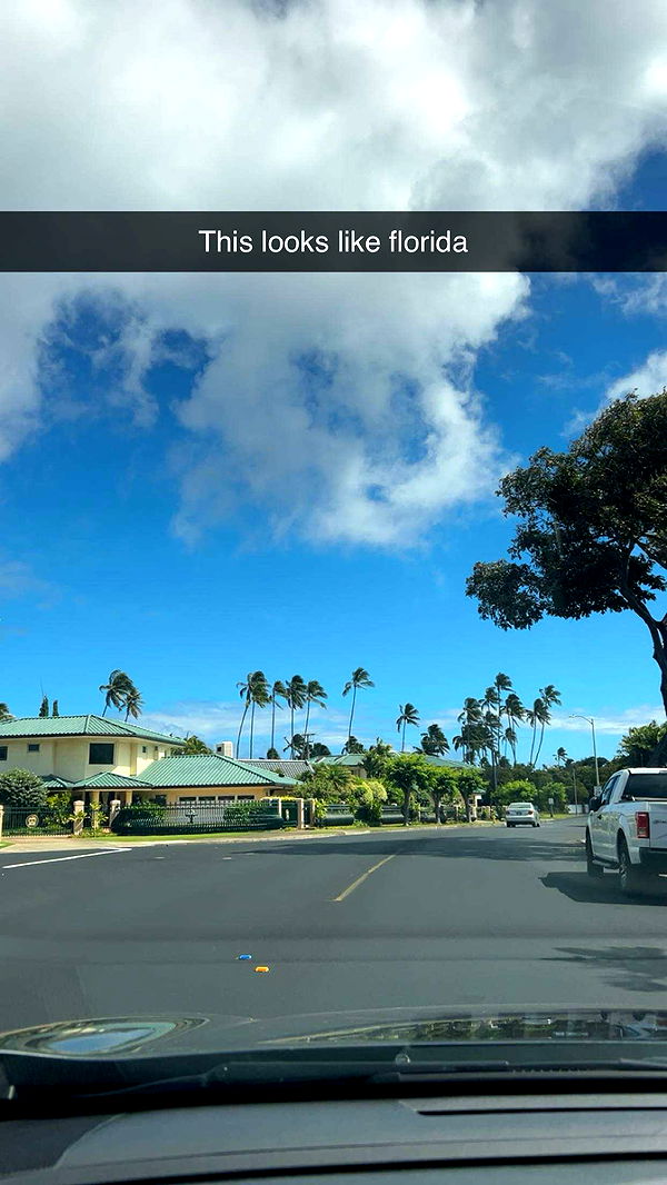 soph4ocean image ~ Altpins