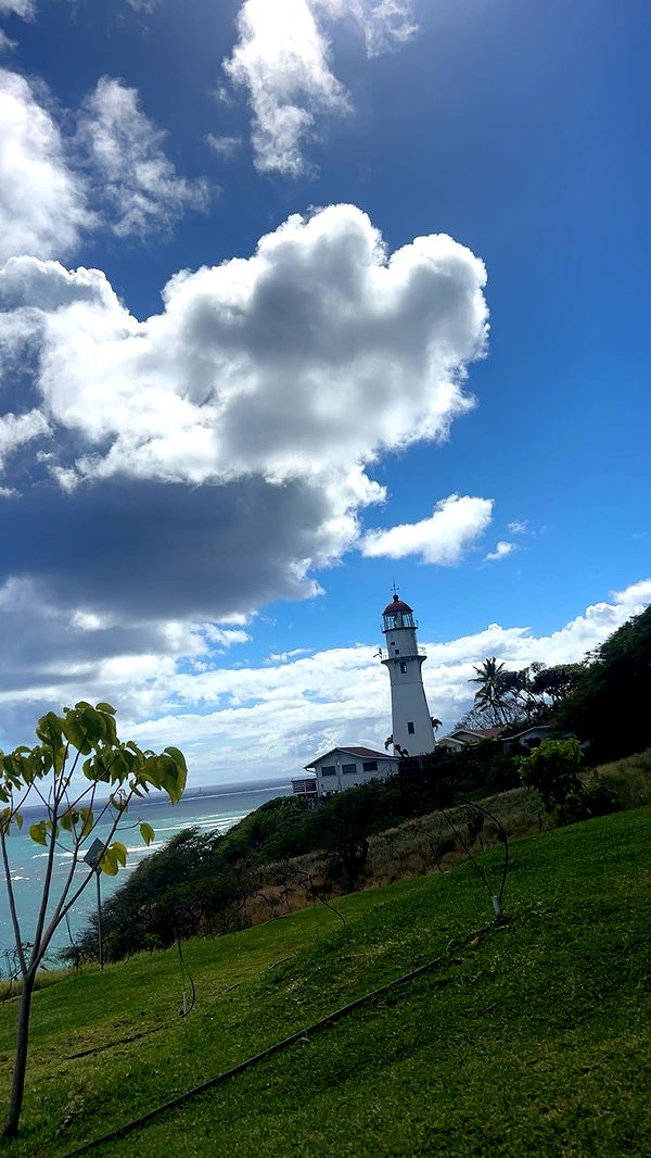 soph4ocean image ~ Altpins