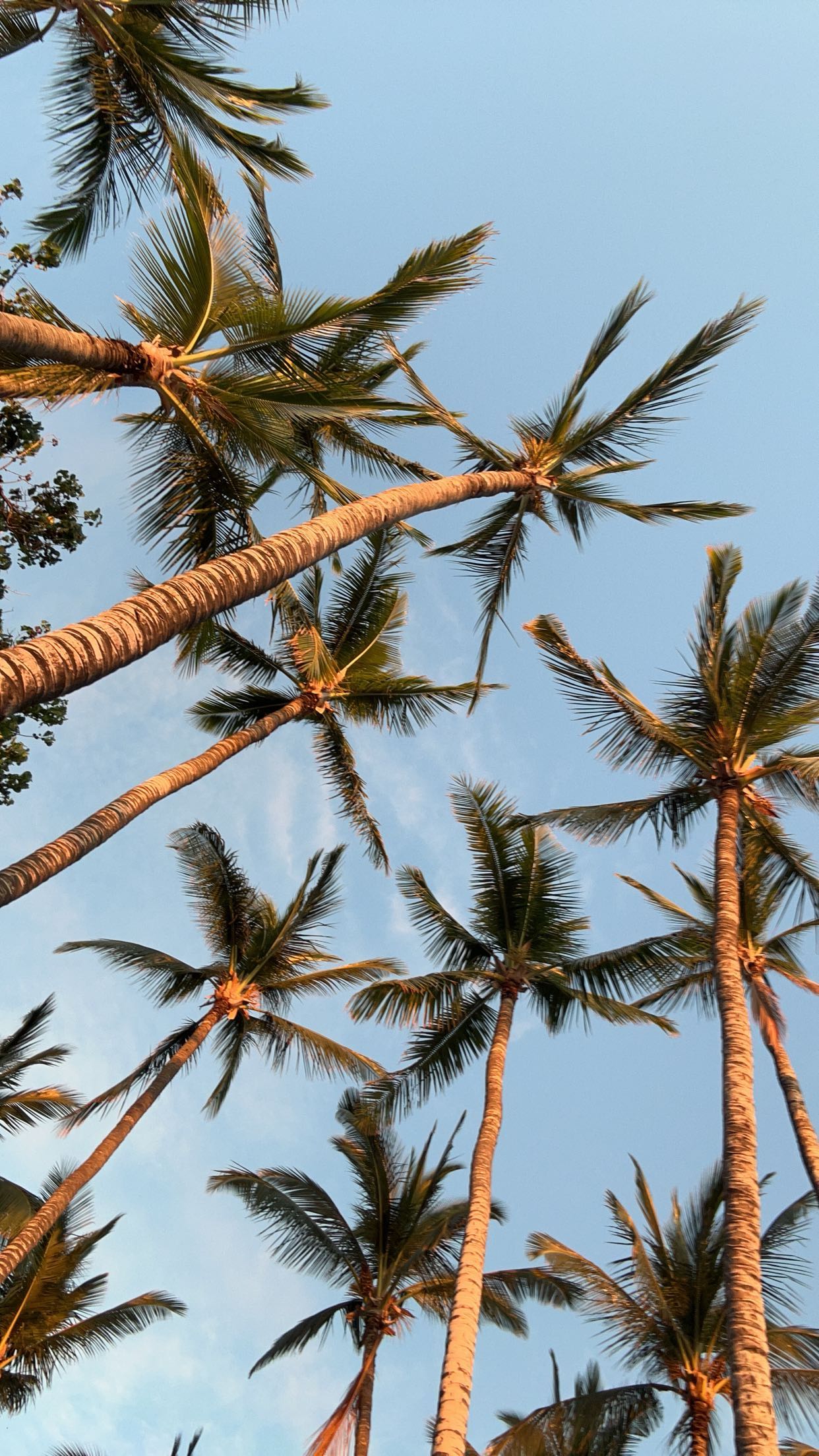 soph4ocean snapchat image archive image