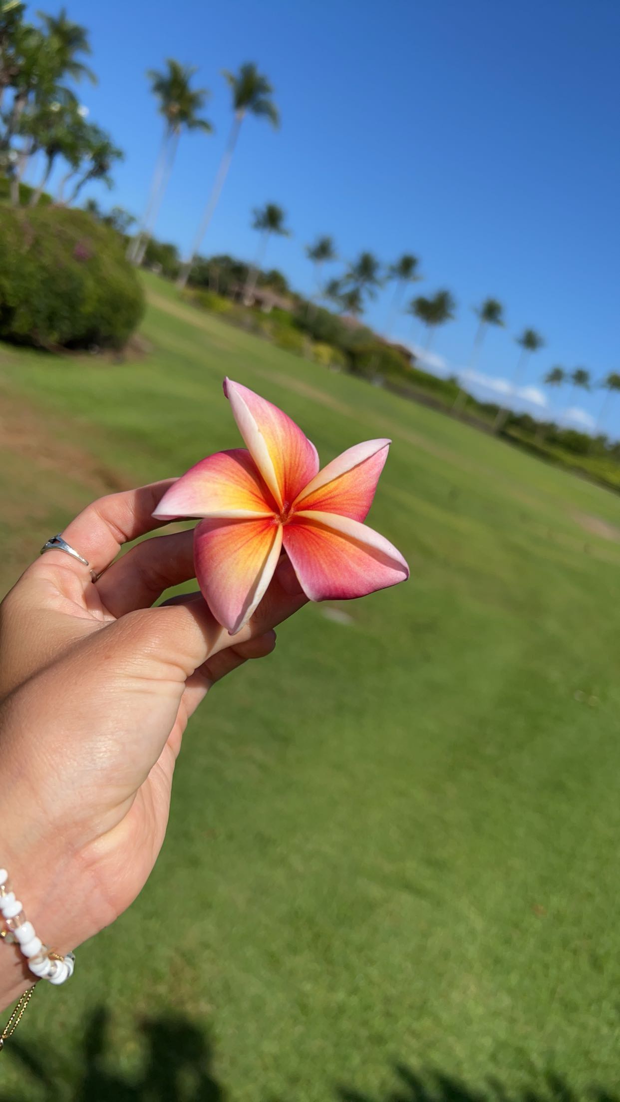 soph4ocean snapchat image archive image