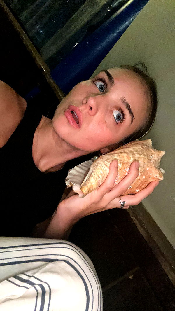 soph4ocean image ~ Altpins