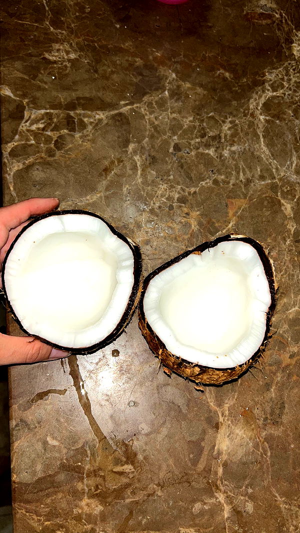 soph4ocean image ~ Altpins