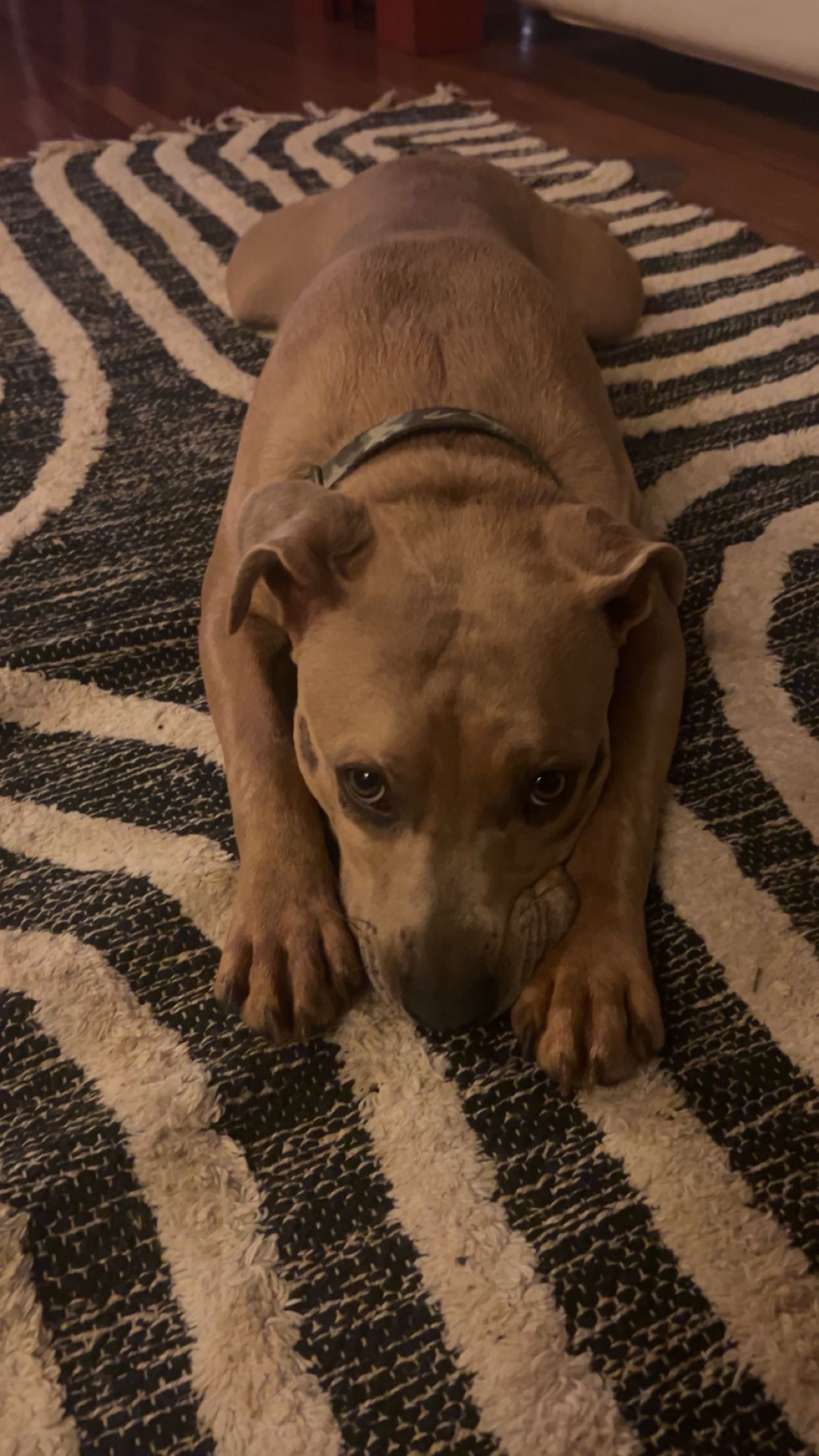 soph4ocean snapchat image archive image