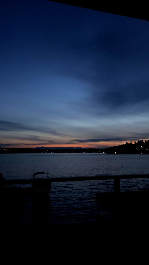 soph4ocean image ~ Altpins