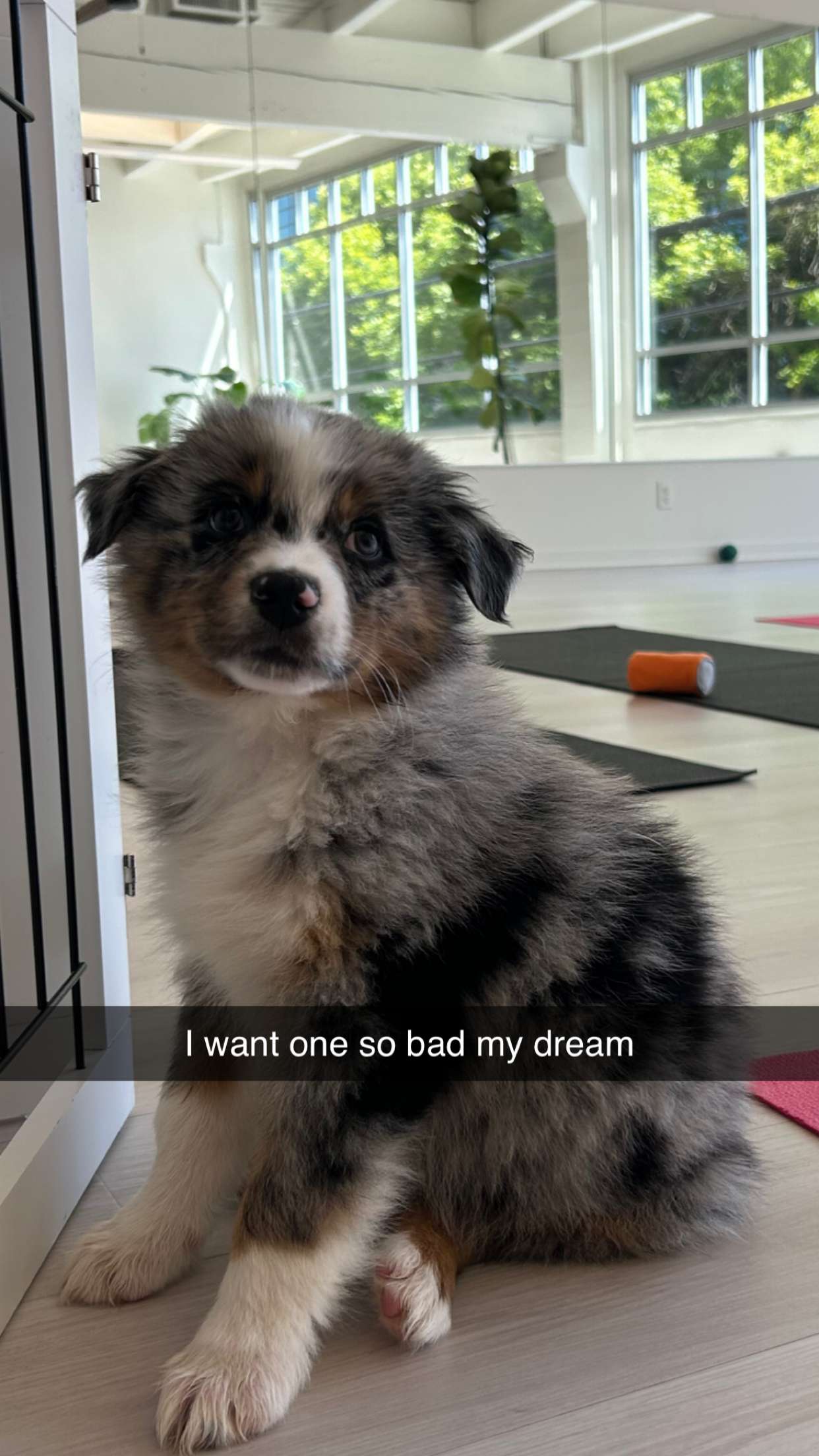 soph4ocean snapchat image archive image