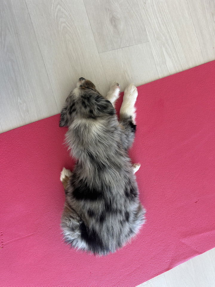 soph4ocean snapchat image archive image