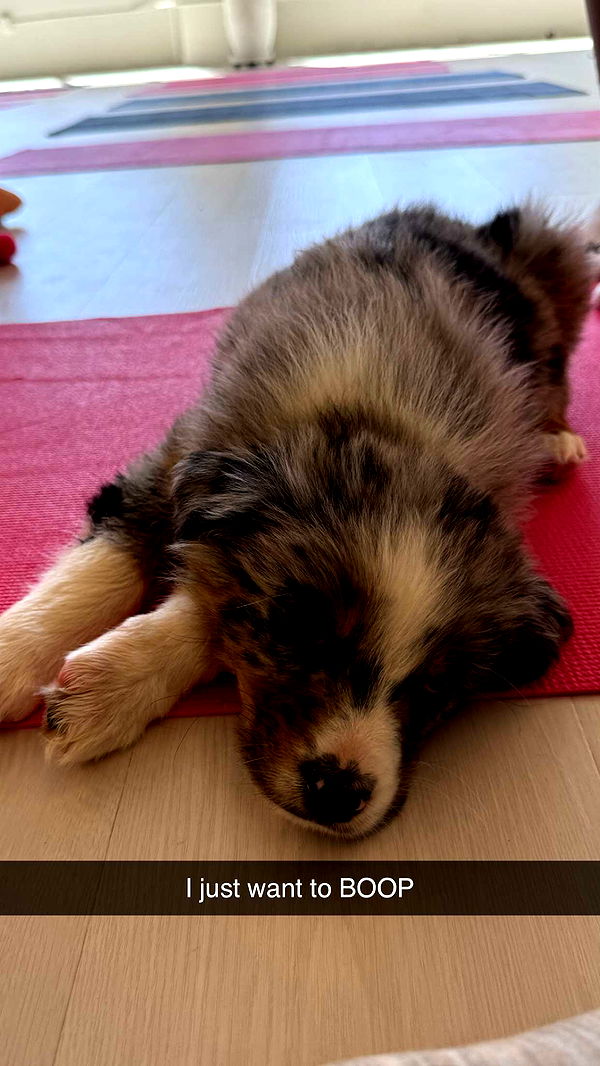 soph4ocean image ~ Altpins