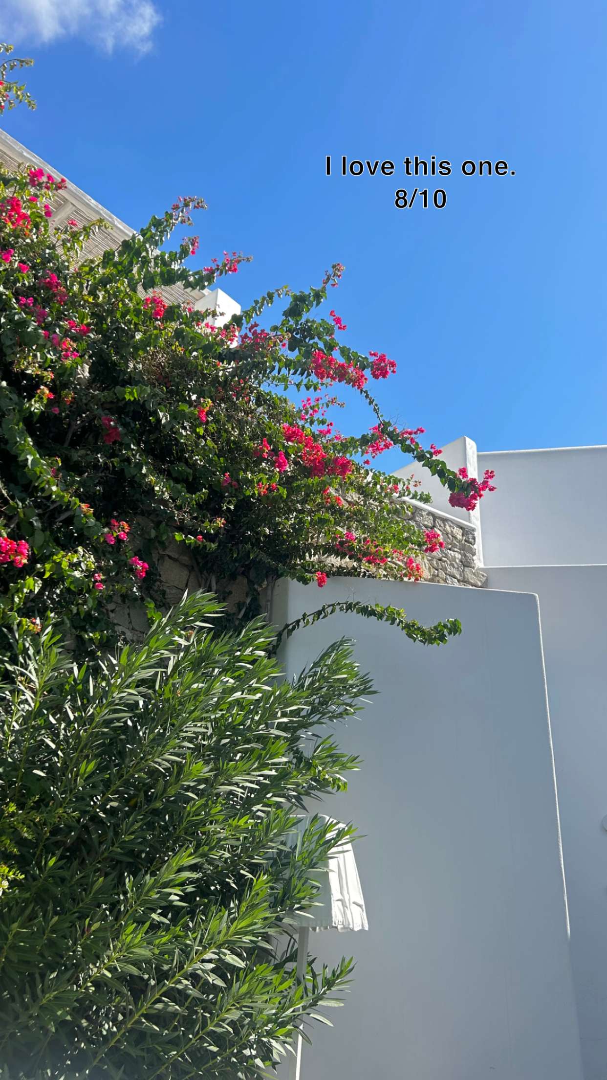 soph4ocean snapchat image archive image